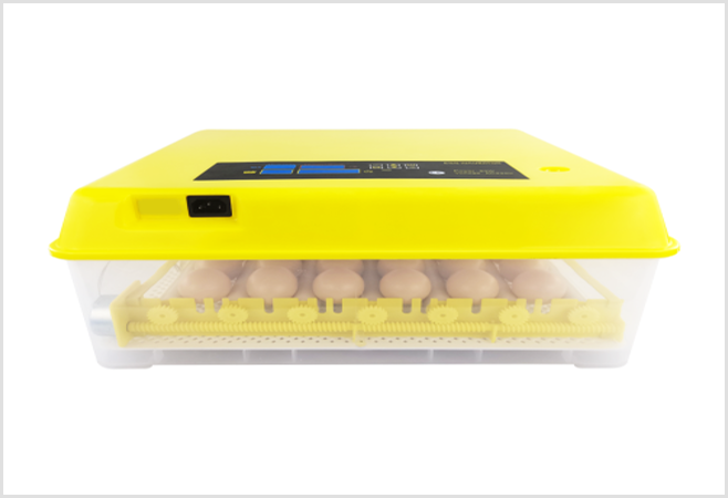 Incubator equipment